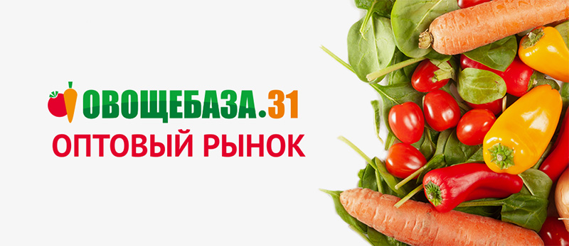 овощебаза31